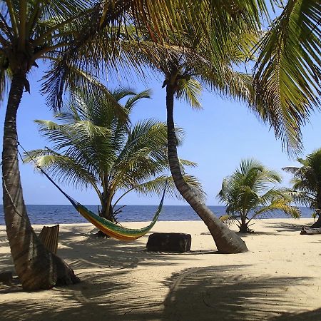 Отель Sabal Beach Monkey River Town Экстерьер фото