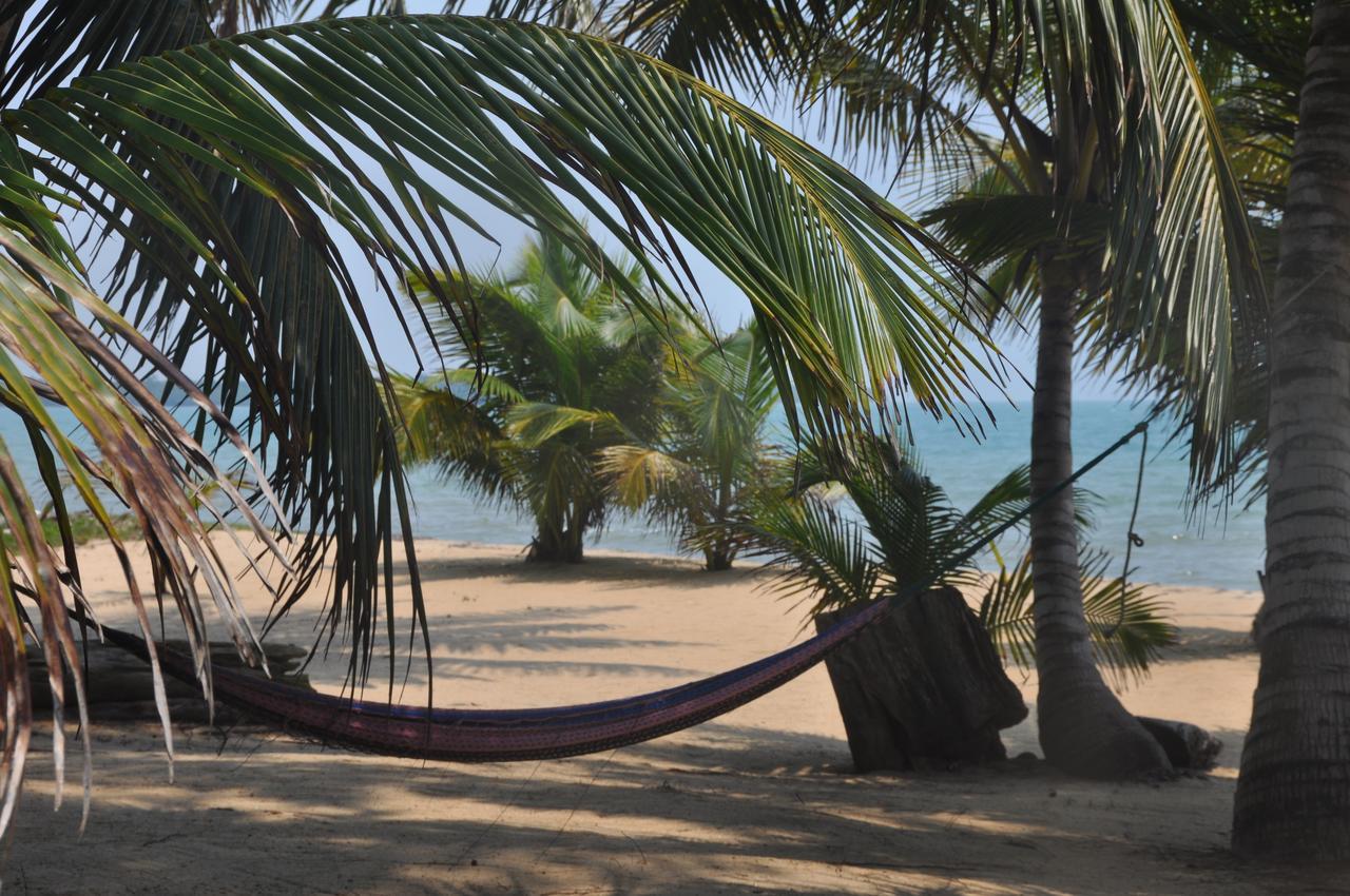 Отель Sabal Beach Monkey River Town Экстерьер фото