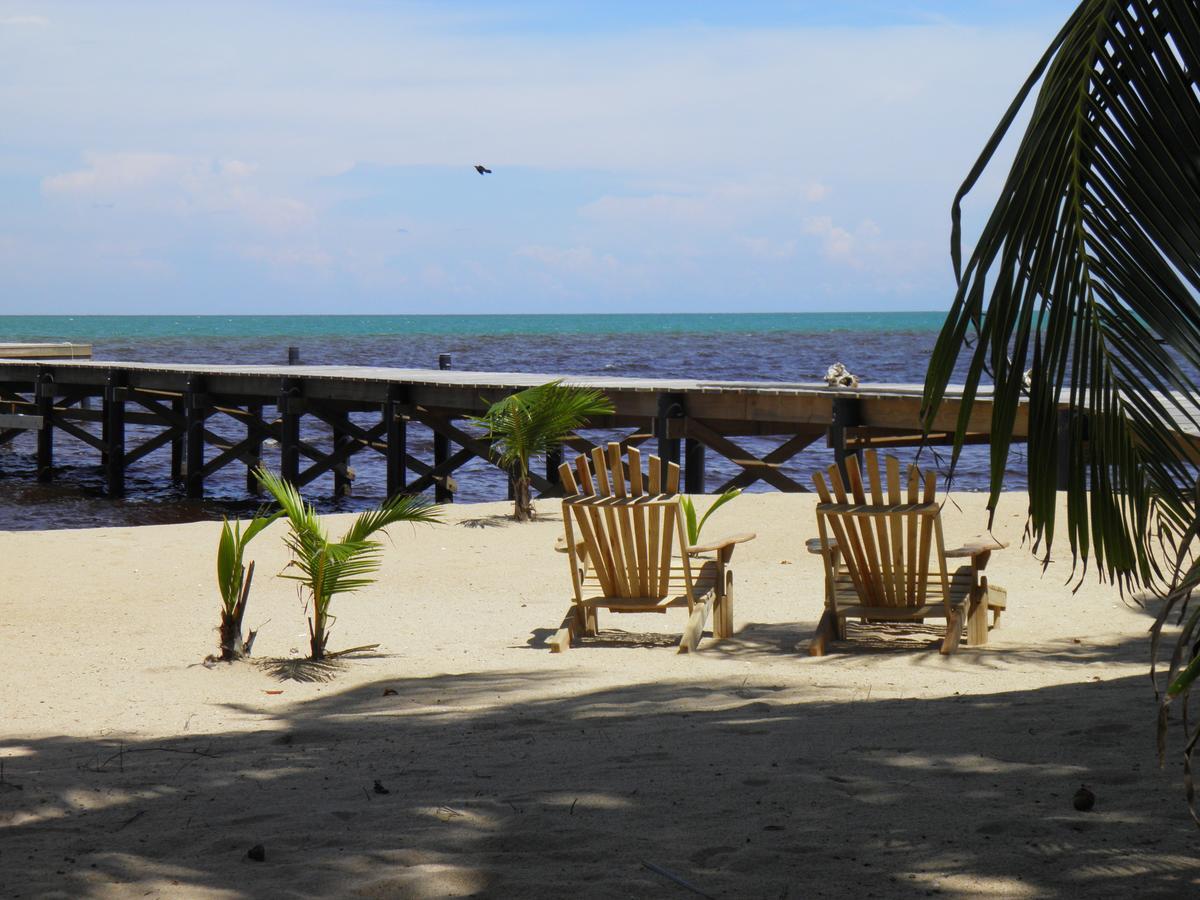 Отель Sabal Beach Monkey River Town Экстерьер фото
