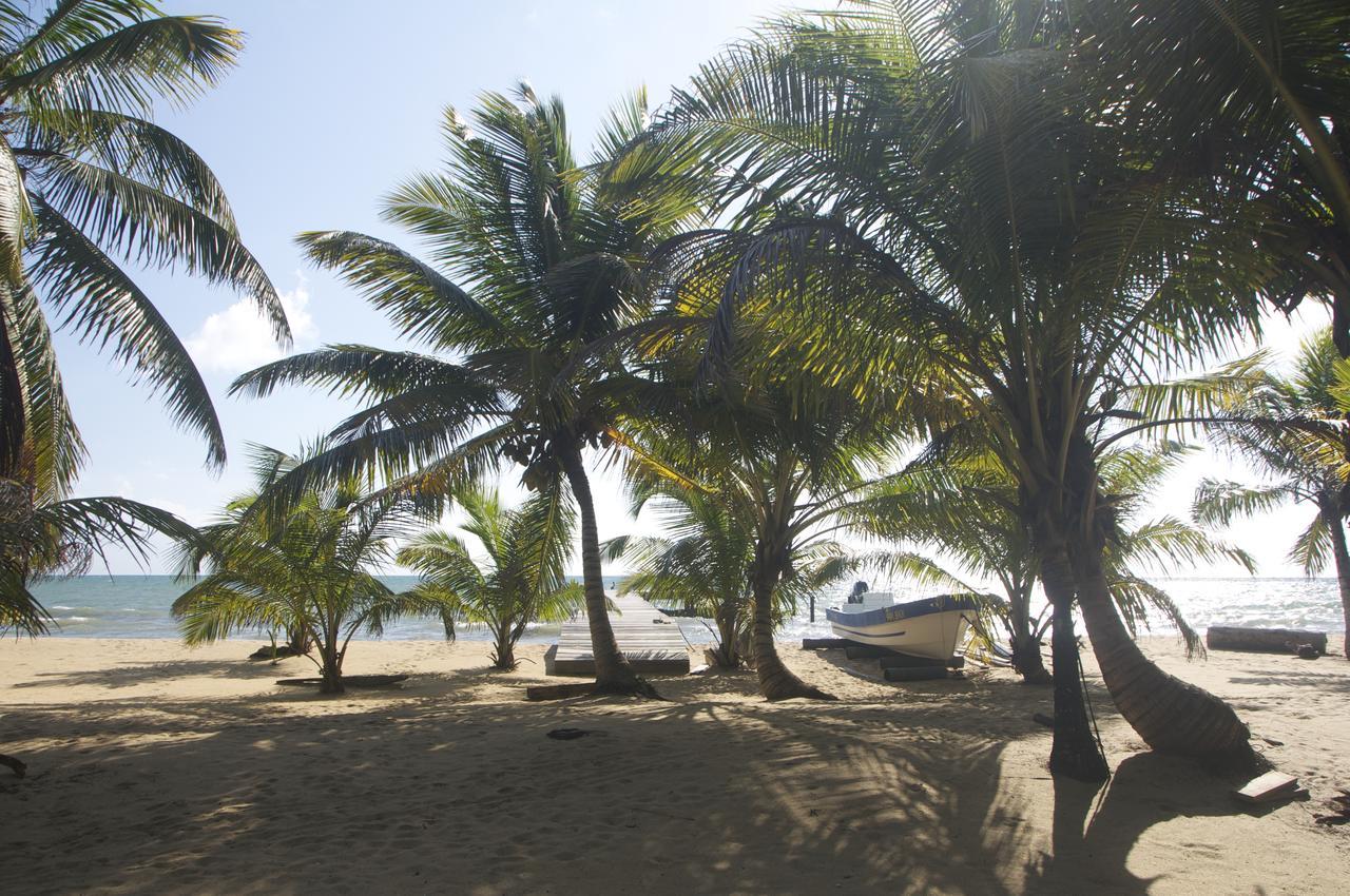 Отель Sabal Beach Monkey River Town Экстерьер фото