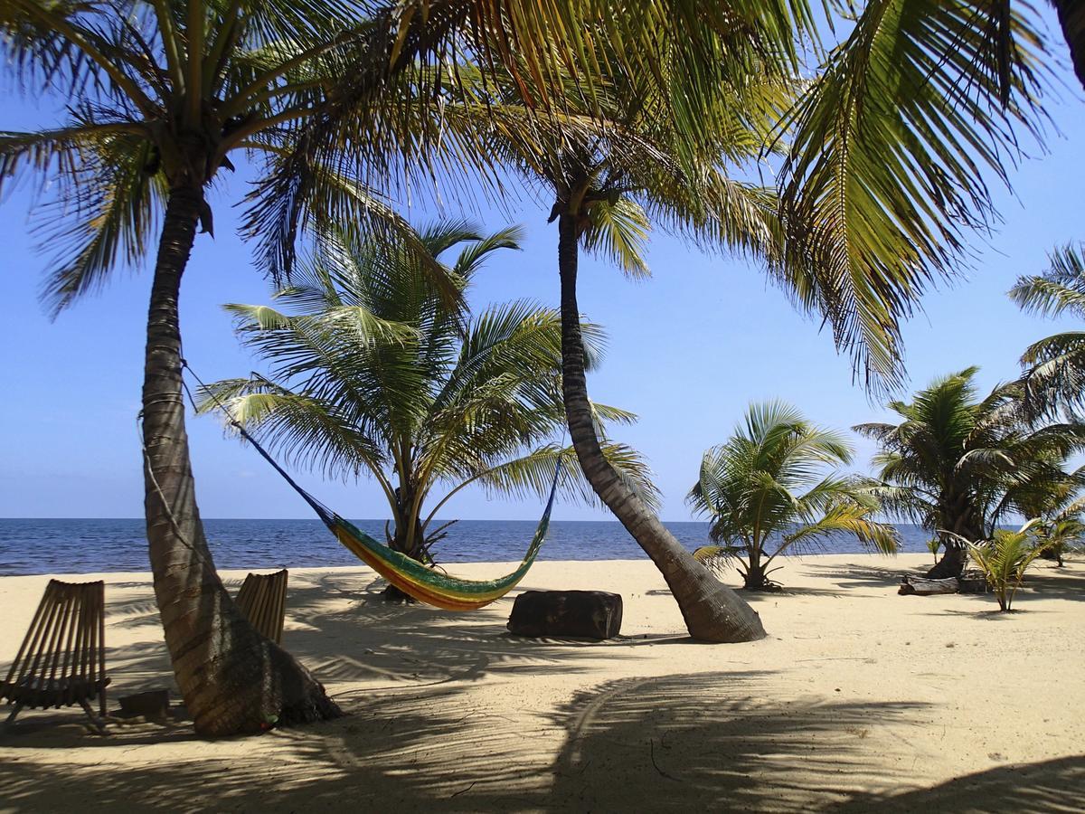 Отель Sabal Beach Monkey River Town Экстерьер фото
