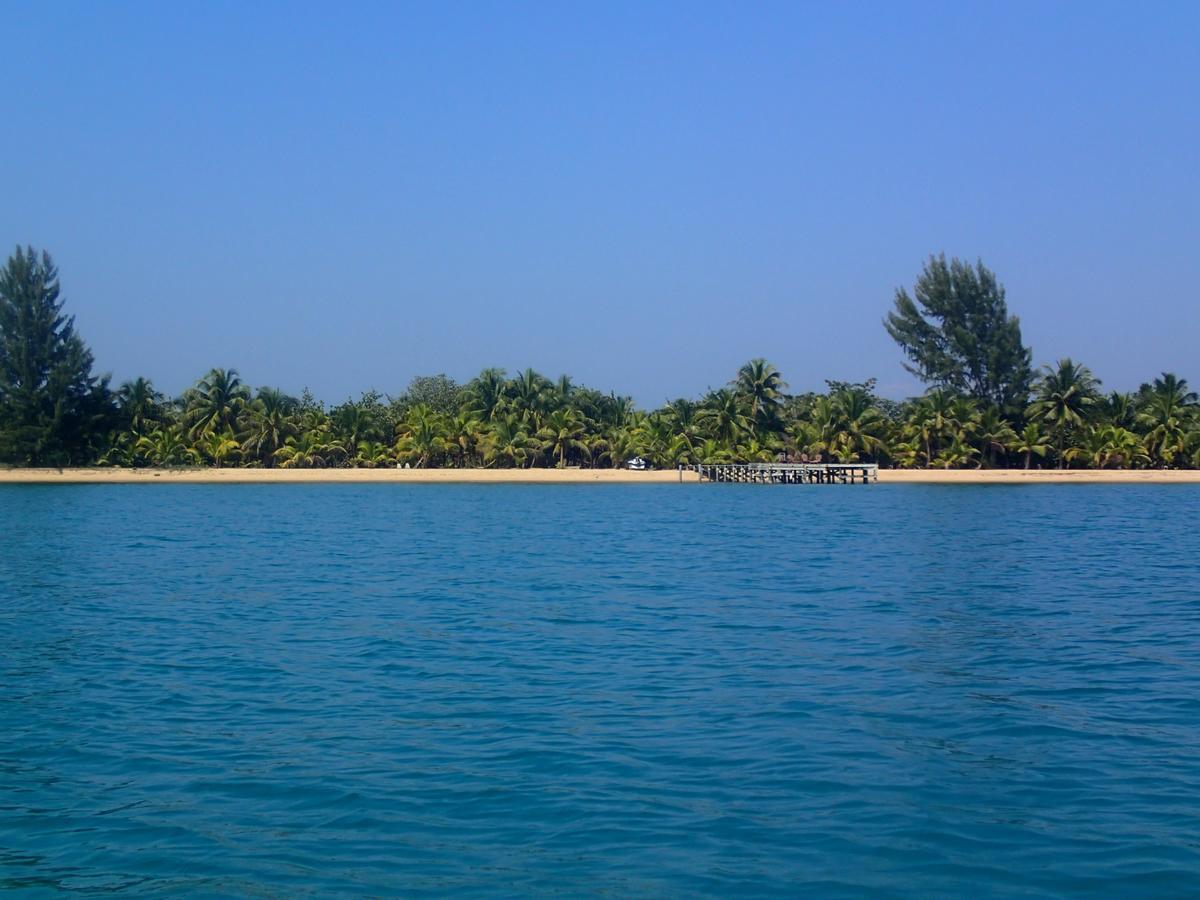 Отель Sabal Beach Monkey River Town Экстерьер фото